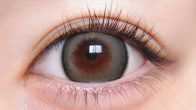 プリモア マンスリー 度あり 2枚入り プリパールモアグレイ