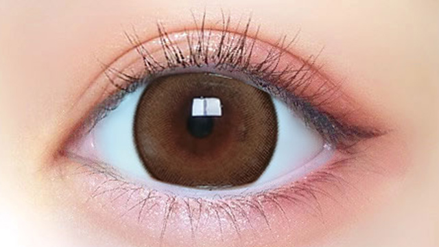 プリモア マンスリー 度あり 2枚入り プリガールキャメル