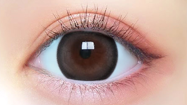 プリモア マンスリー 度あり 2枚入り プリガールマロン