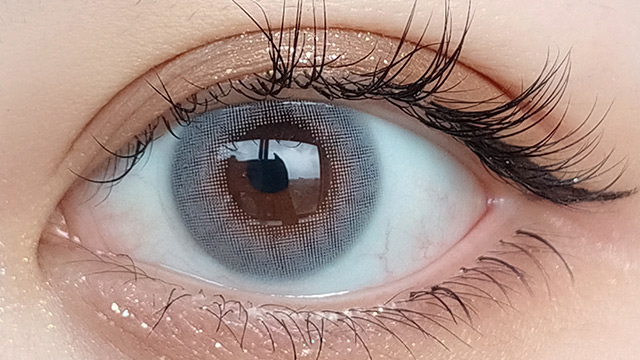 |在庫処分 フォモミ マンスリー シアーグレー 度あり 1枚入り