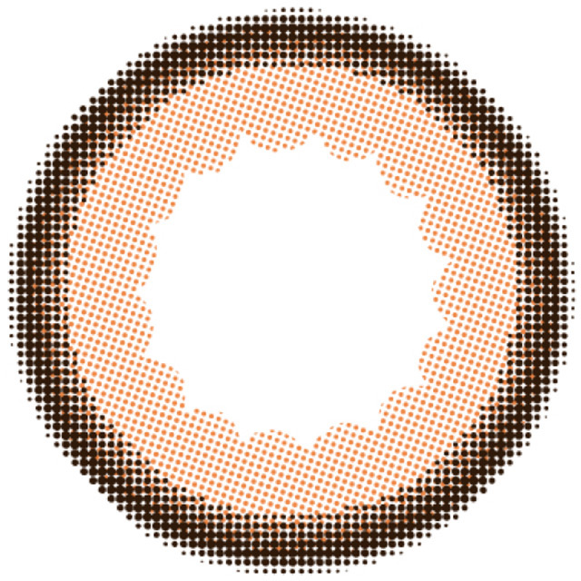 |在庫処分 フォモミ マンスリー ディーアブラウン 度あり 1枚入り