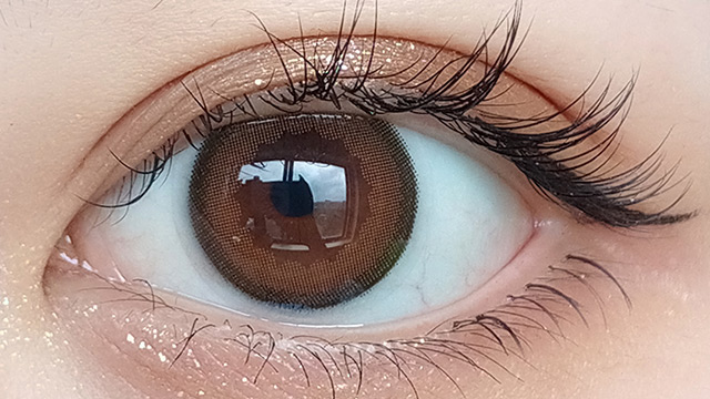 |在庫処分 フォモミ マンスリー ディーアブラウン 度あり 1枚入り