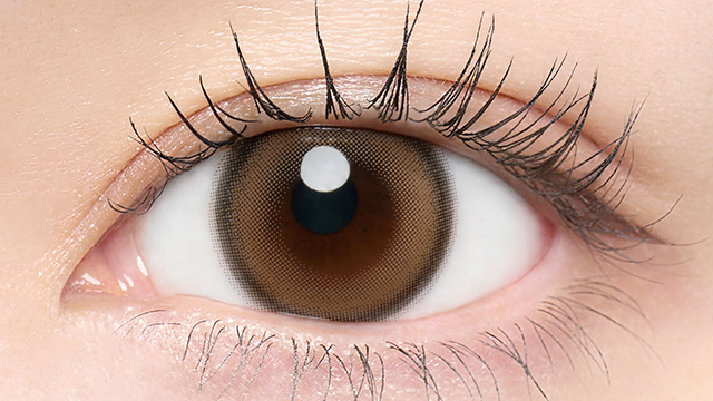 チューズミー トーリック ワンデー 乱視 10枚入り エッセンスベージュ CYL-1.25