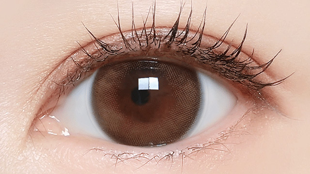 欠品】マジェット ワンデー 10枚入 ミルキーベージュ / カラコン通販