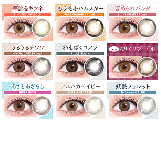 フルーリーバイカラーズ 10枚入 リングオレンジブラウン / カラコン