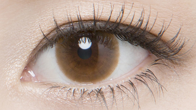 練習 時系列 抜け目がない リッチ スタンダード リラックス ブラウン Mountainroot Org