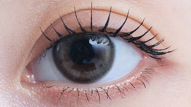 アイスター ワンデー 10枚入り デイグローブラウン