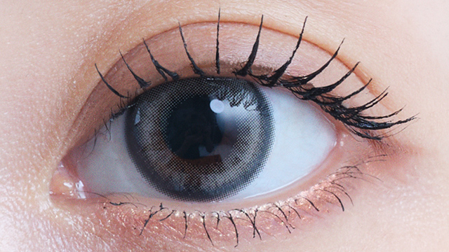 アイスター ワンデー 10枚入り デイグローグレー