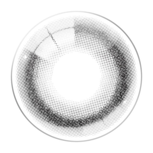 アイスター ワンデー 10枚入り アイコニックグレー