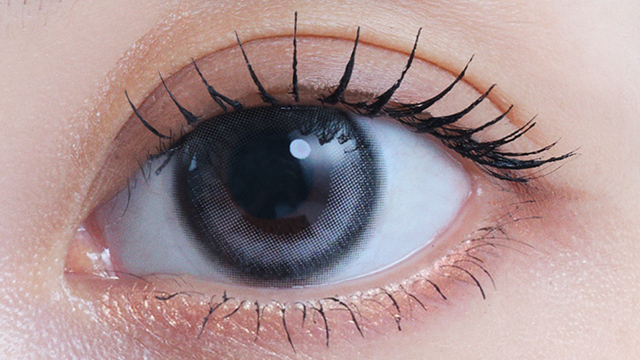 アイスター ワンデー 10枚入り アイコニックグレー