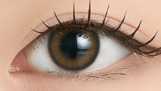 アンジェリーク ワンデー 10枚入 イェッポブラウン