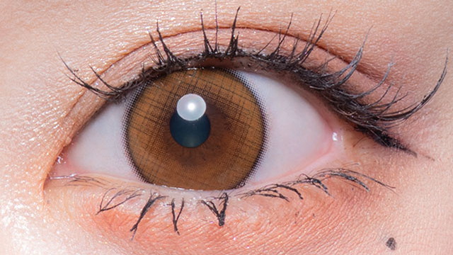 フルーリー Flurryマンスリー 度あり 3枚入り ワッフルチェックブラウン