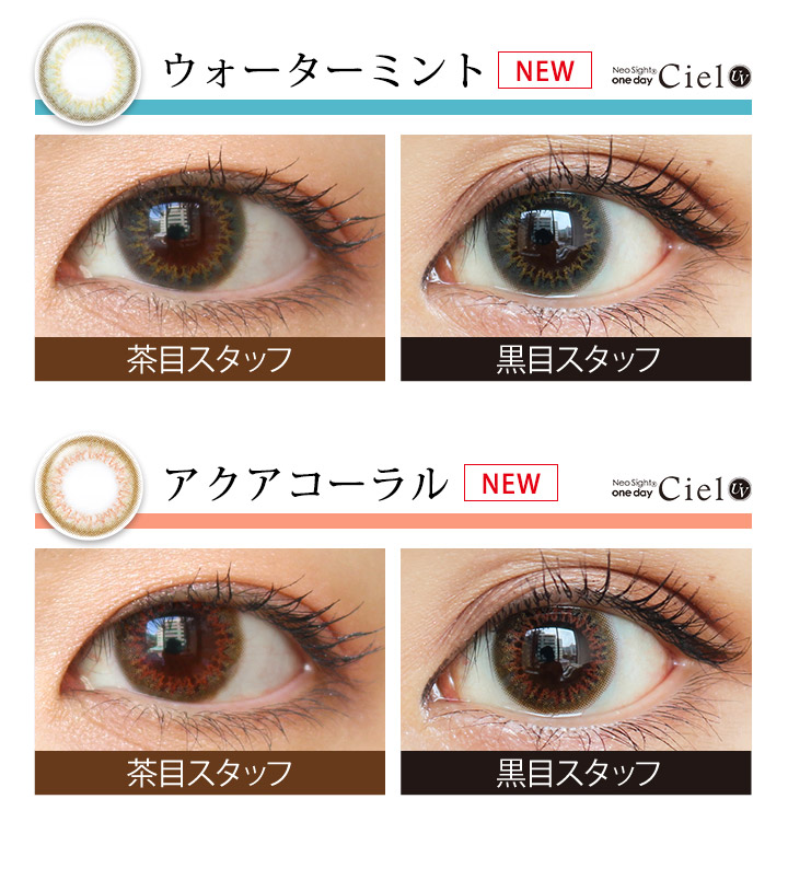 ネオサイトワンデーシエルUV