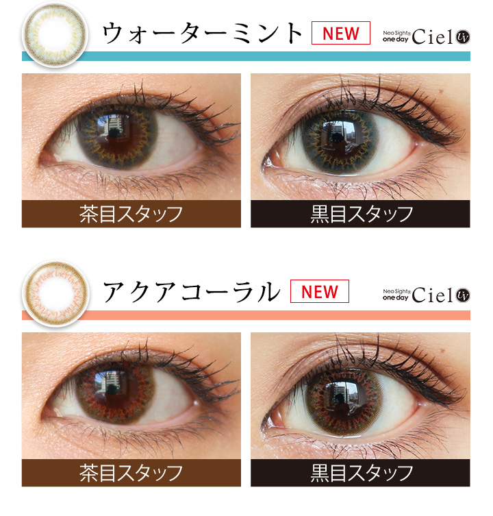 ネオサイトワンデーシエルUV
