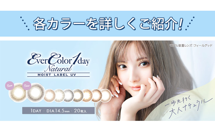 カラー紹介