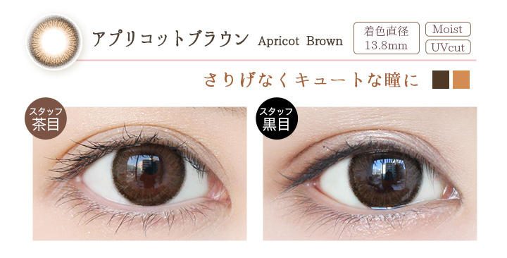 Apricot Brown アプリコットブラウン