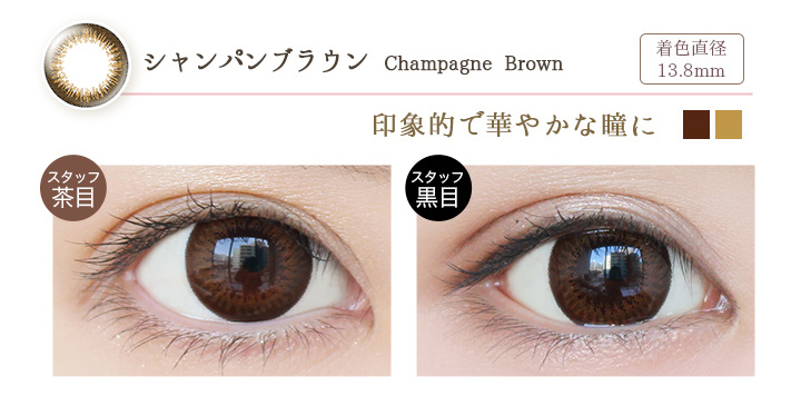 Champagne Brown シャンパンブラウン