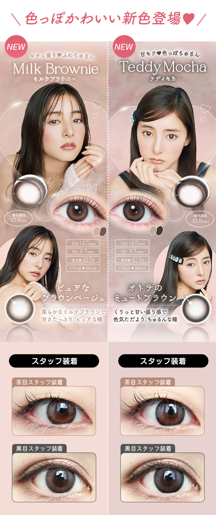 色っぽかわいい新色登場 ミルクブラウニー テディモカ