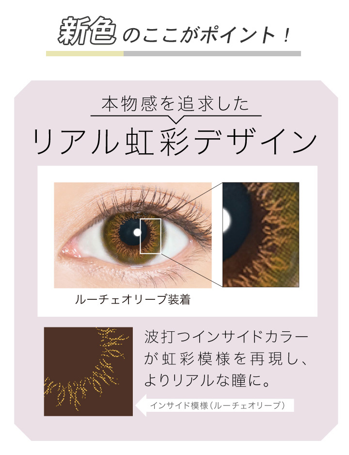 エバーカラーワンデー ルクアージュ EverColor 1day Luquage
