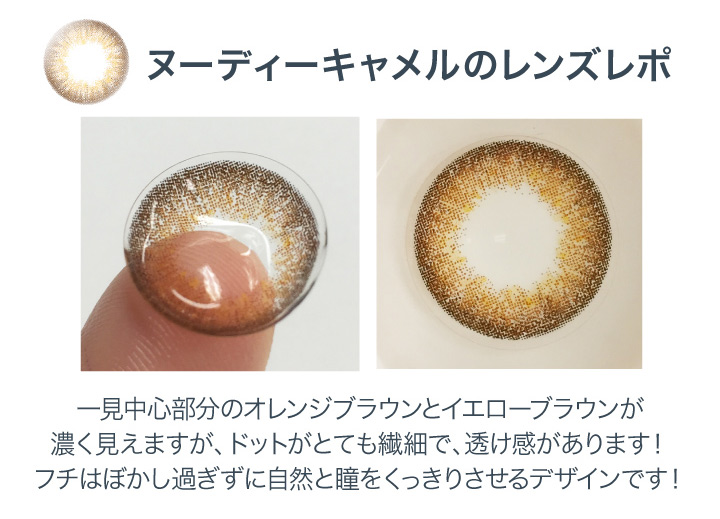 ヌーディーキャメルレポ