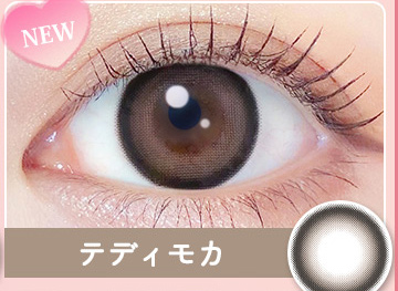 Teddy Mocha テディモカ