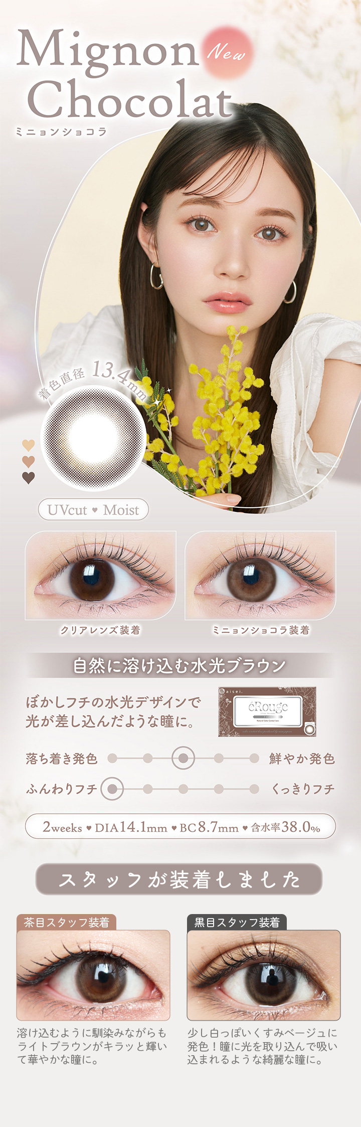 Mignon Chocolat ミニョンショコラ