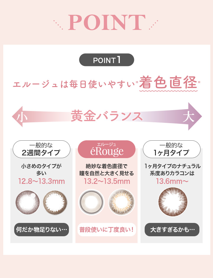 エルージュ eRouge ２ウィーク カラコン 2週間交換 DAI 14.1mm 14.5mm