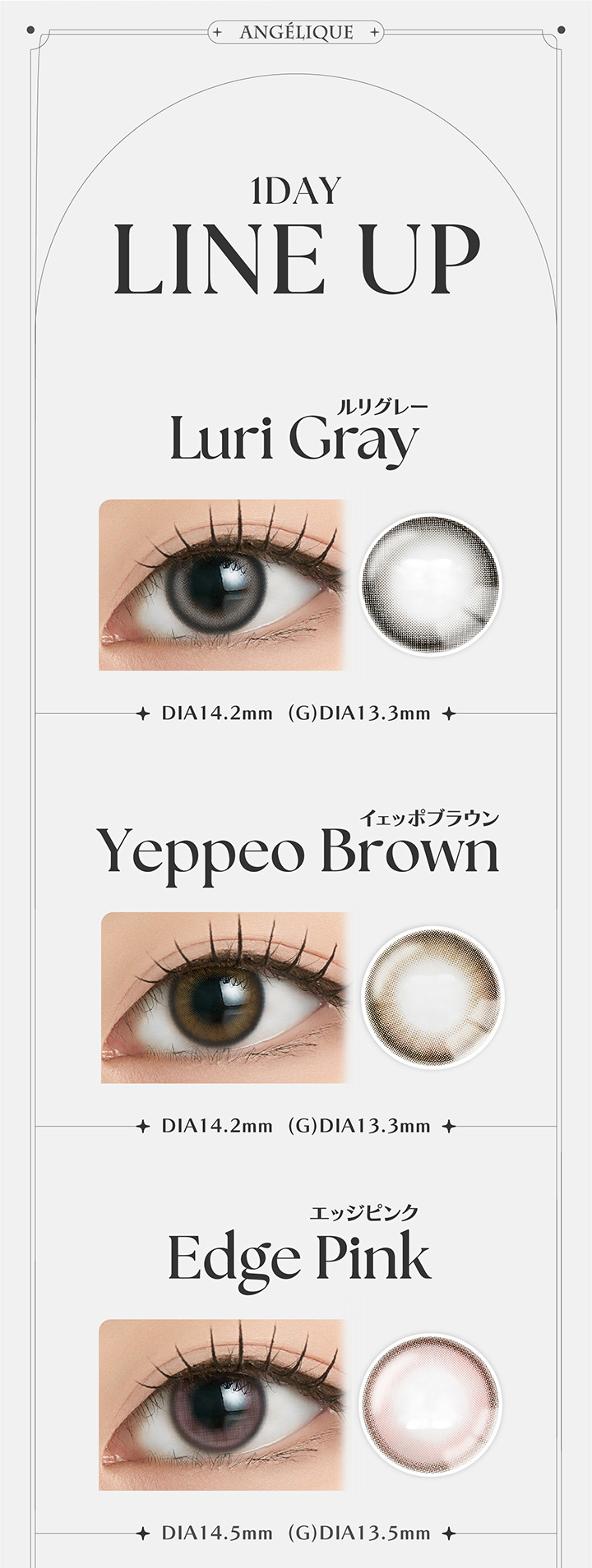 ルリグレー イェッポブラウン エッジピンク