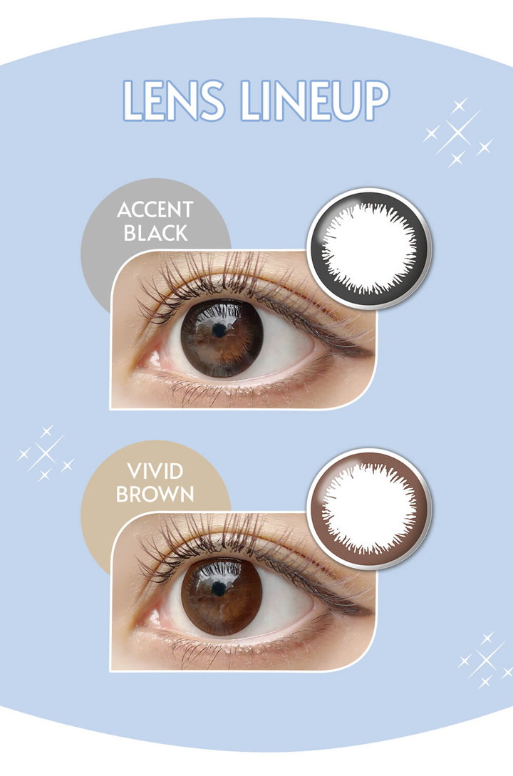 アクセントブラック ヴィビッドブラウン