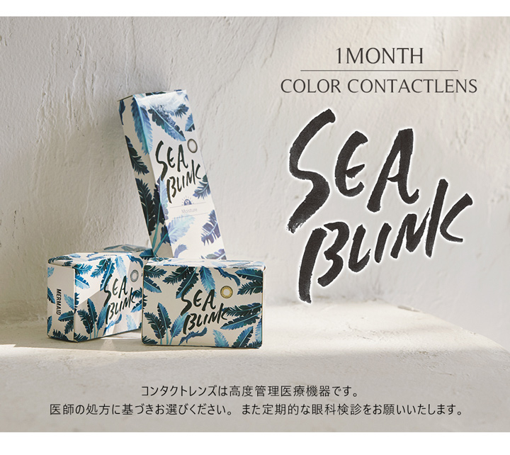 シーブリンクマンスリー SEA BLINK 1month
