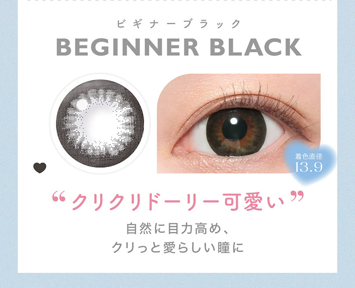 Beginner Black ビギナーブラック