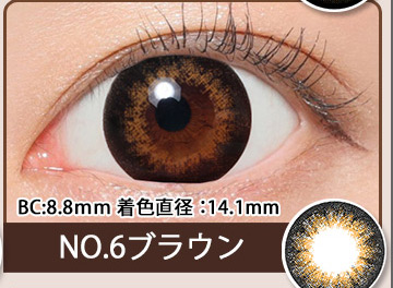 NO.6ブラウン
