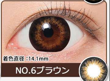 NO.6ブラウン