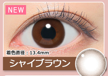 シャイブラウン