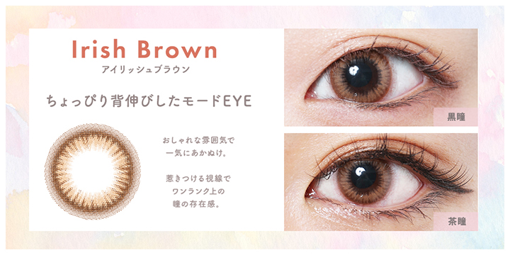 アイリッシュブラウン ilish brown