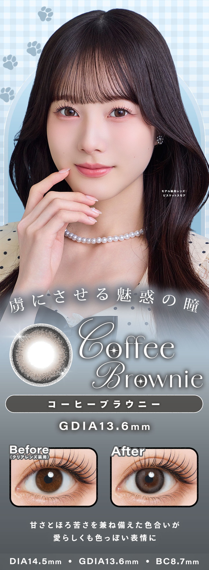 コーヒーブラウニー Coffee Brownie