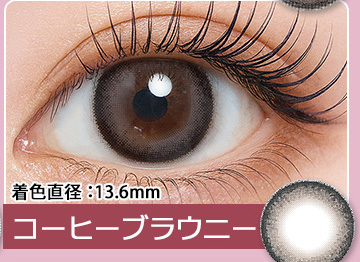 Coffee Brownie コーヒーブラウニー