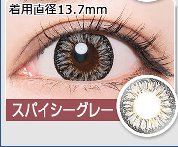 スパイシーグレー