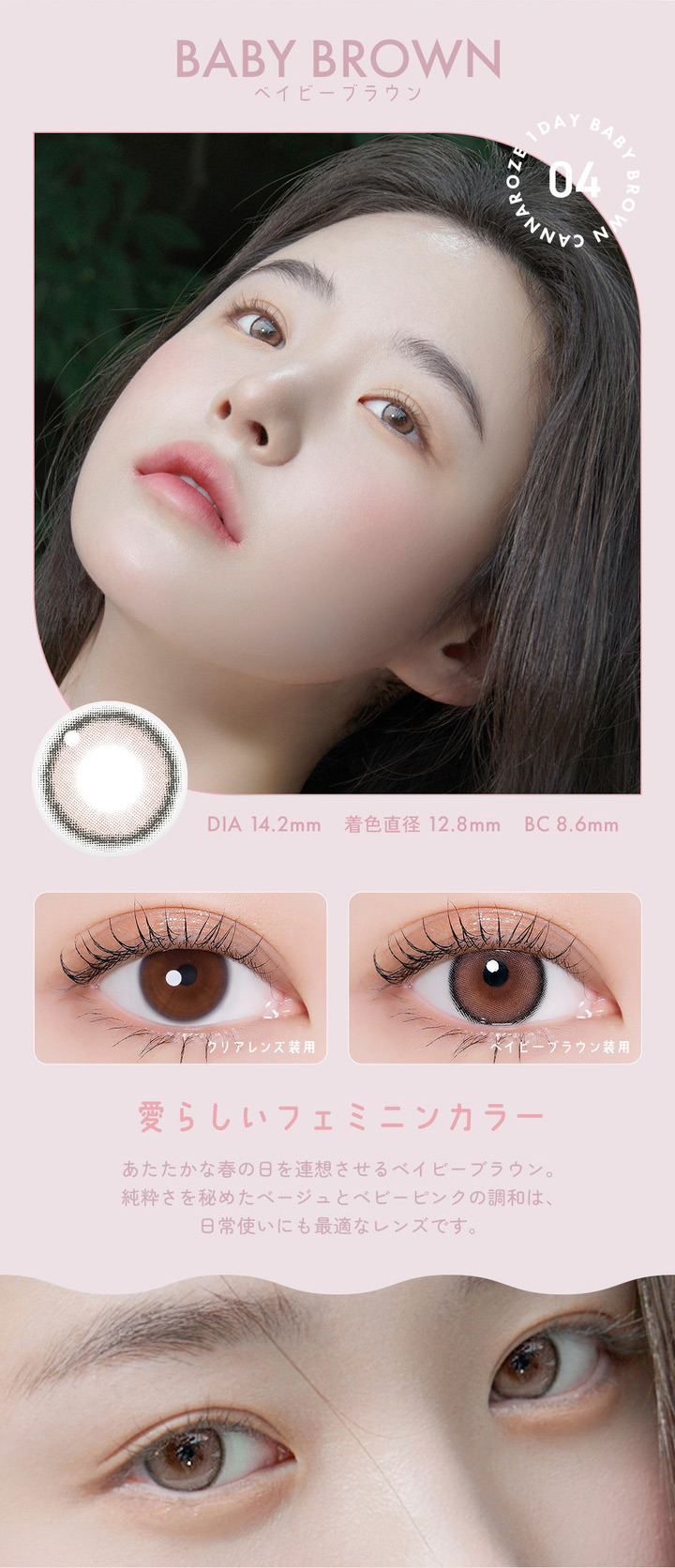 ベイビーブラウン