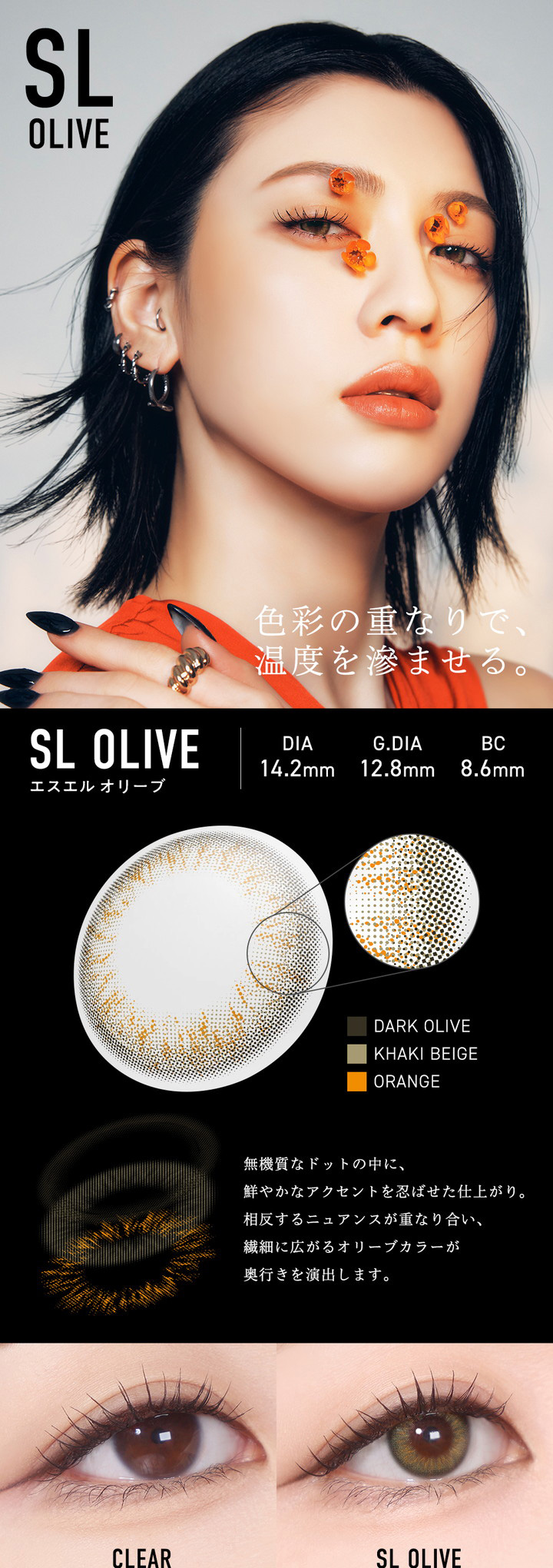 SL OLIVE エスエルオリーブ