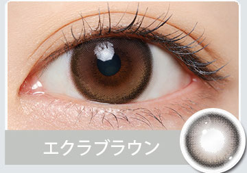 エクラブラウン Eclat Brown