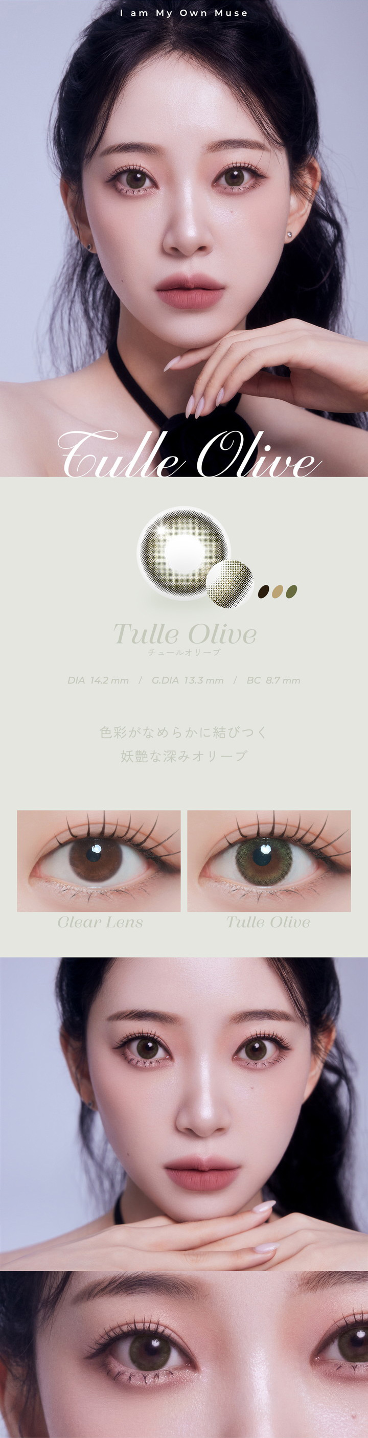 チュールオリーブ