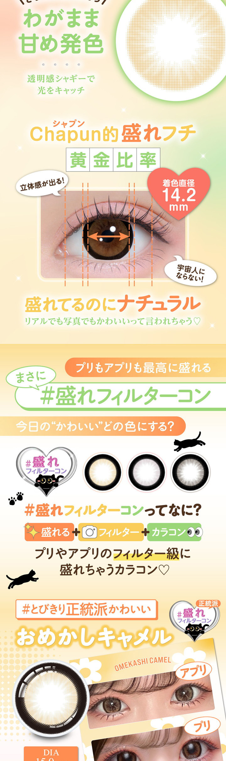 シャプン 新色 盛れフィルターコン おめかしキャメル