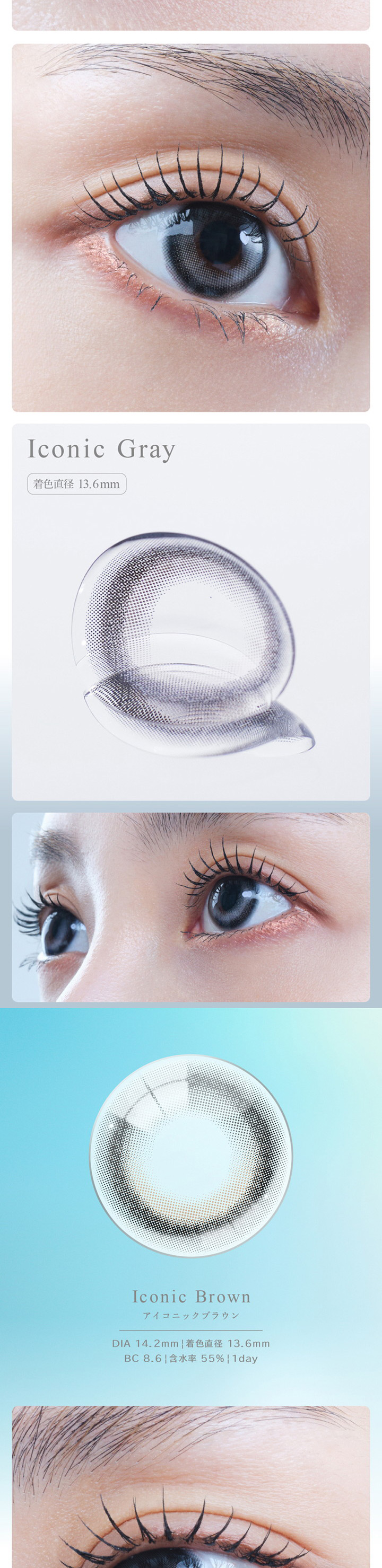 アイスター アイコニックブラウン