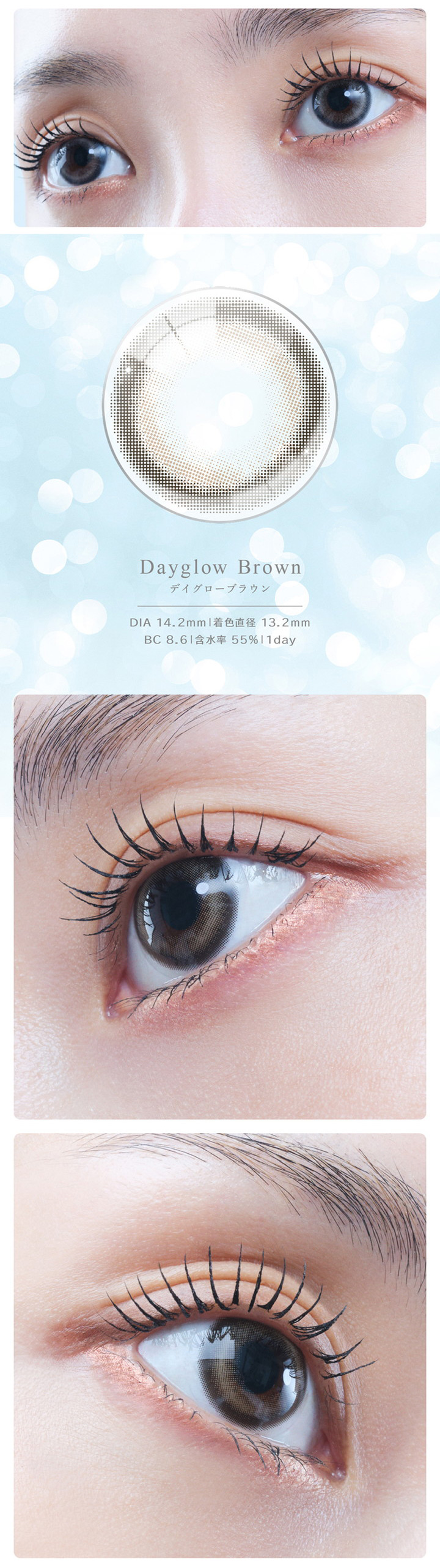 アイスター デイグローブラウン