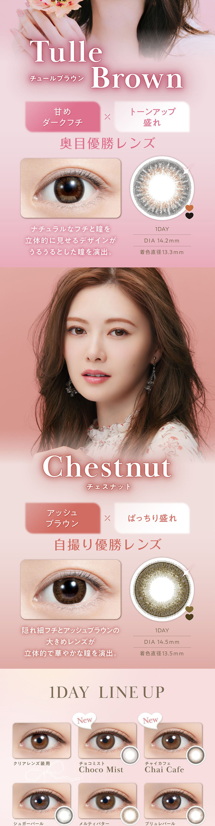 チュールブラウン TulleBrown チェスナット Chestnut
