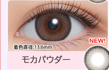 Mocha Powder モカパウダー