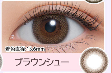 ブラウンシュー Brown Chou