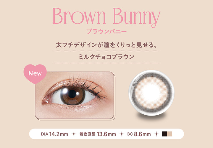 Brown Bunny ブラウンバニー