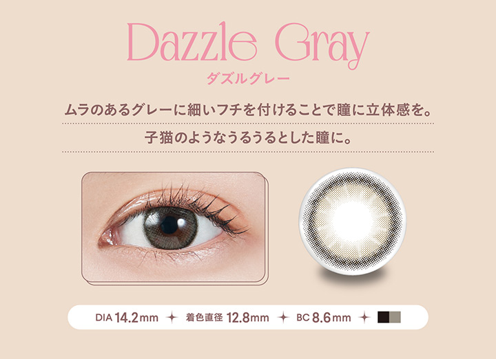 Dazzle Gray ダズルグレー